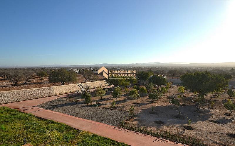 Villa exception_Bouzemour (4)